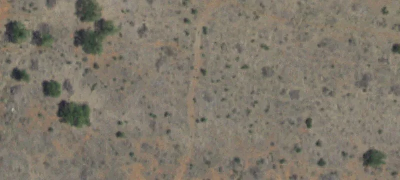 Roscoe, TX 79545