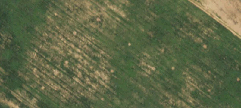 Amherst, TX 79312