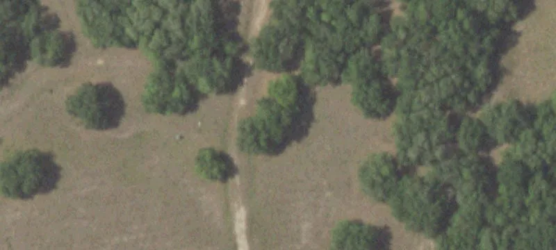 602 Cr 442