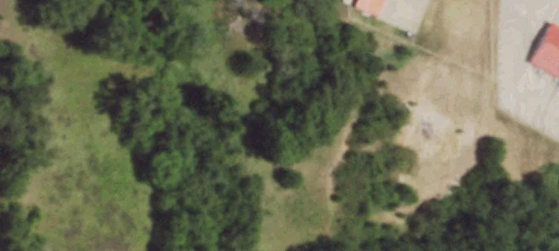 Ferguson Rd