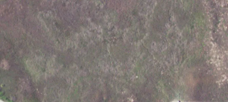 State Hwy 361