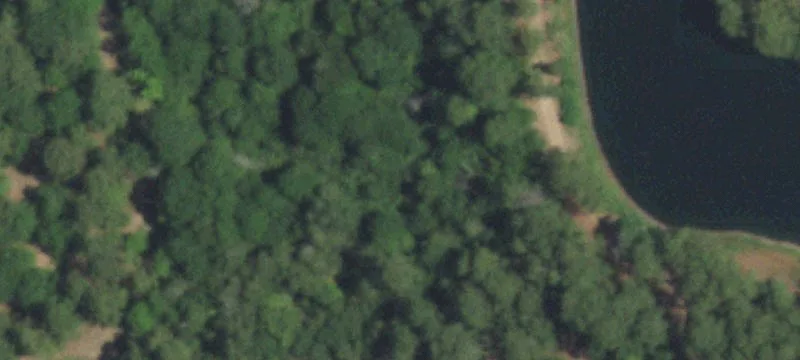 Red Fox Rd