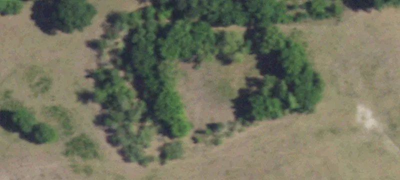3156 County Rd 119