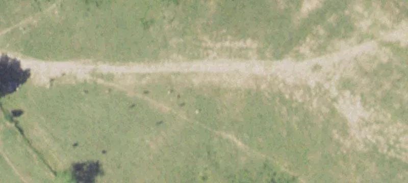 Shelbyville, TX 75973