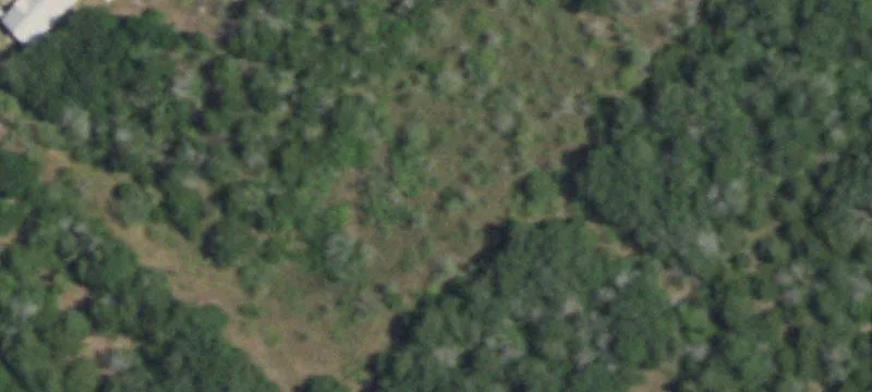 Fm
