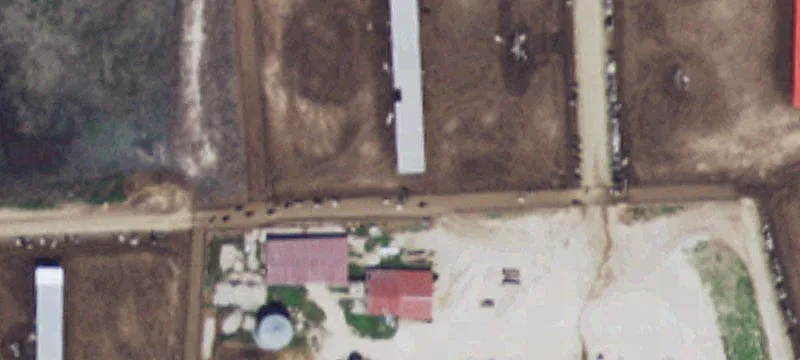 Muleshoe, TX 79347