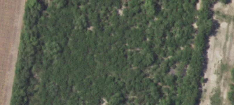 Minnesota Rd