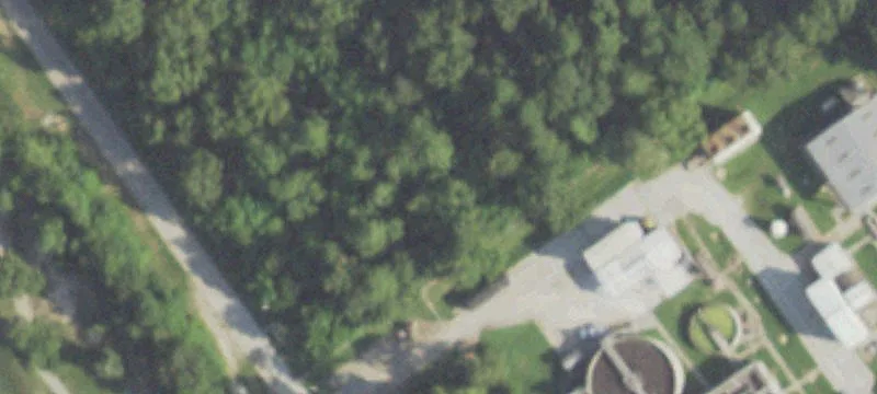 Kingwood Dr