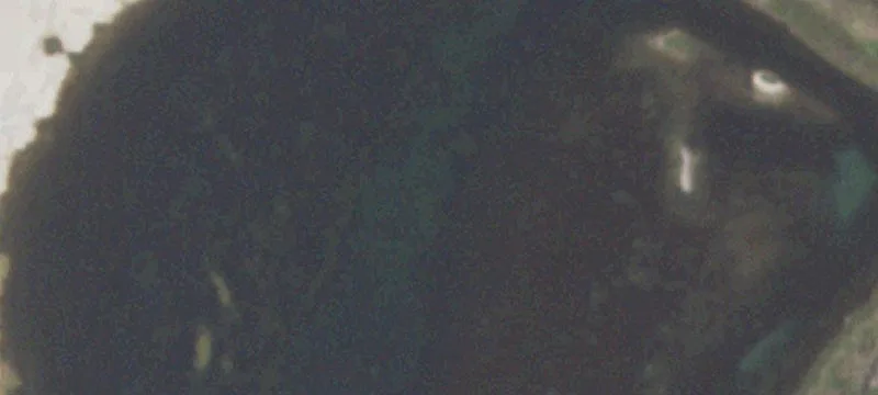 600 Fm 2725