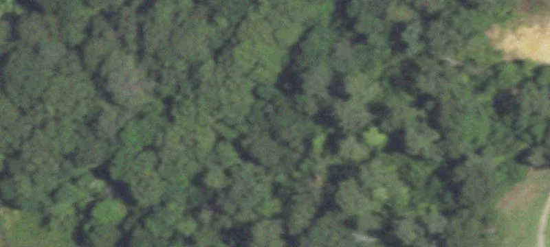 C R 424