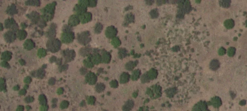 112 Rancho Grande