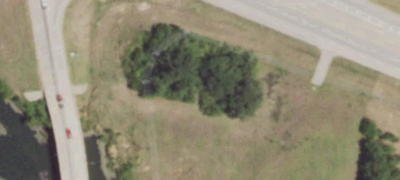Ferguson Rd