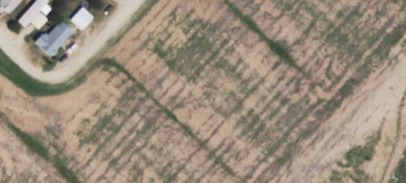 Wilson, TX 79381