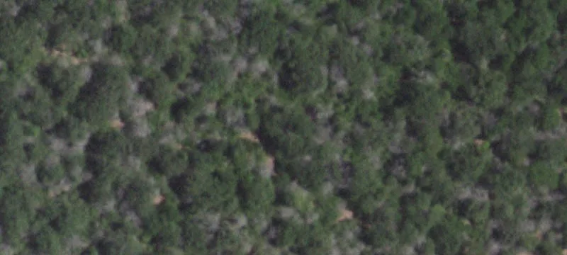 Elgin, TX 78621