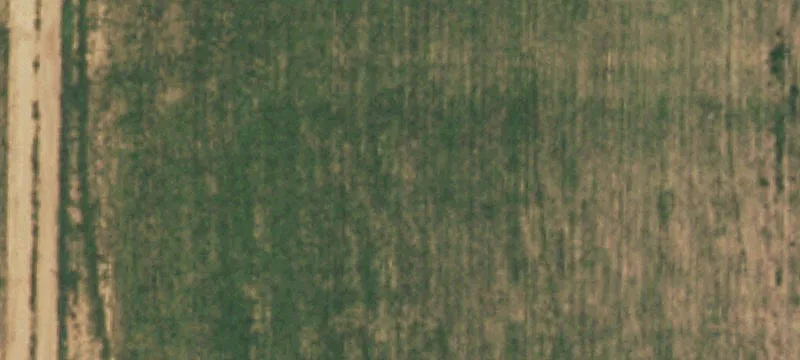 Springlake, TX 79082