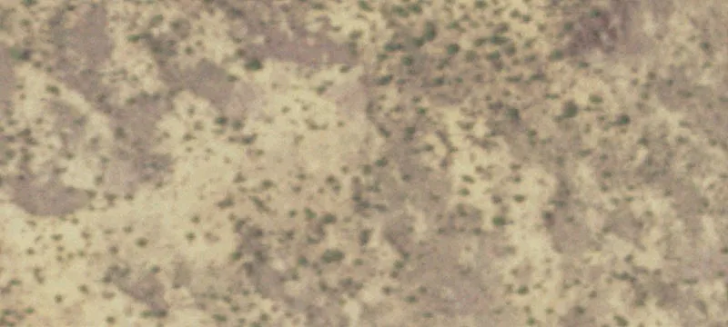 Catarina, TX 78836
