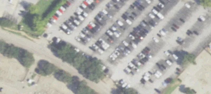 Dorrance Ln