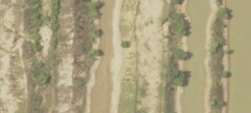Garwood, TX 77442