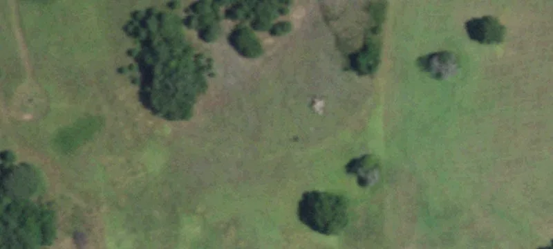 1000 Old Wise Rd