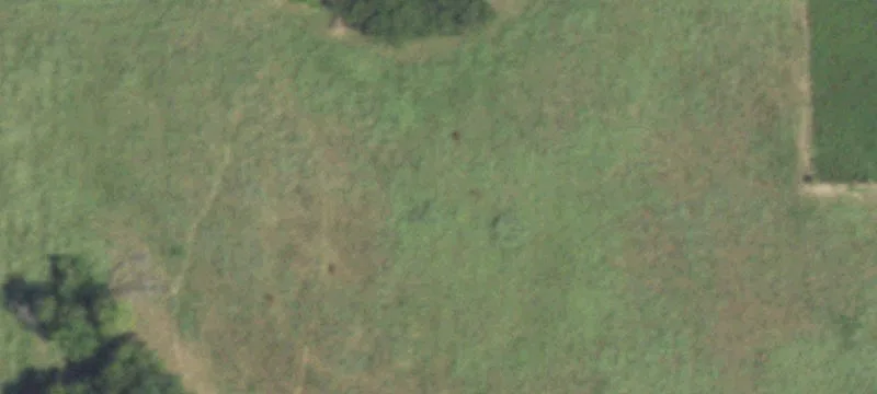 16460 Fm 1774