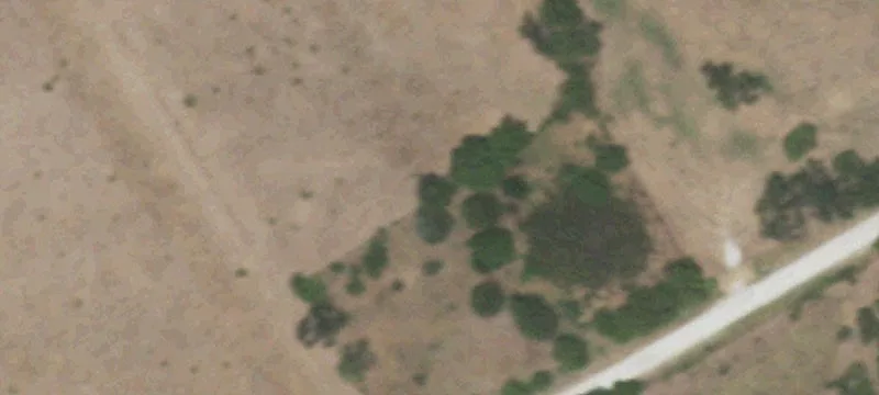 Frost, TX 76641