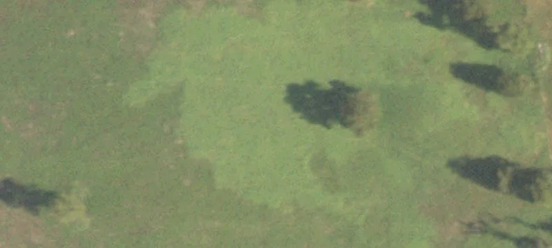 Navasota, TX 77868