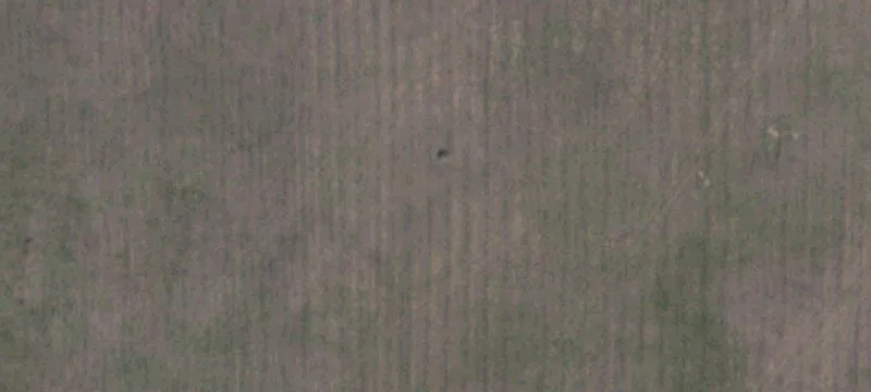 Tulia, TX 79088