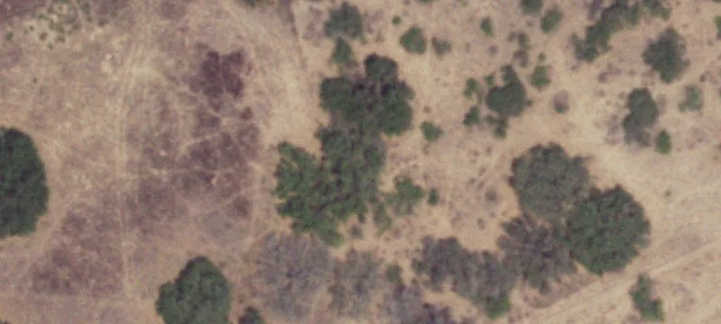 Pleasanton, TX 78064