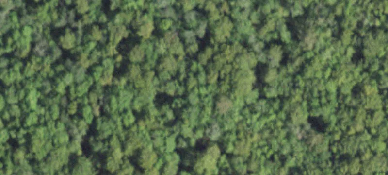 4987 Fm 1416