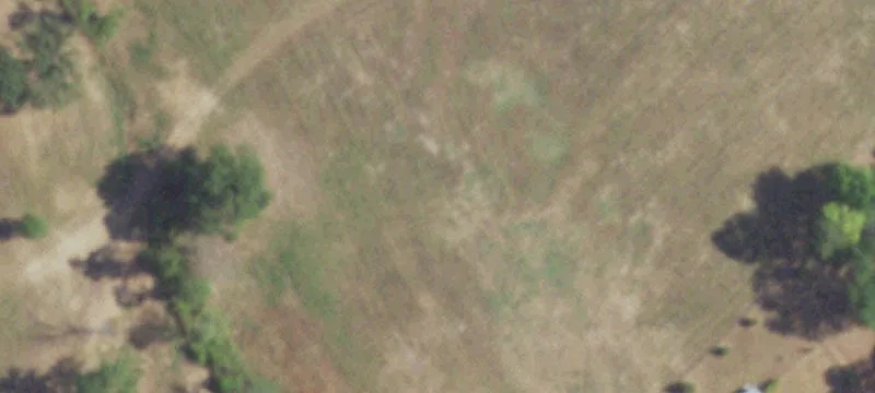 Edgewood, TX 75117