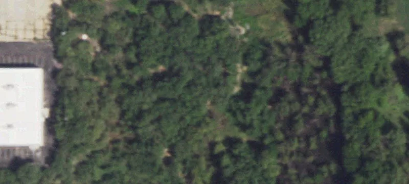 Snyder, TX 79550