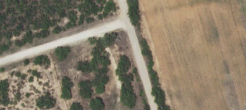 Christine, TX 78012