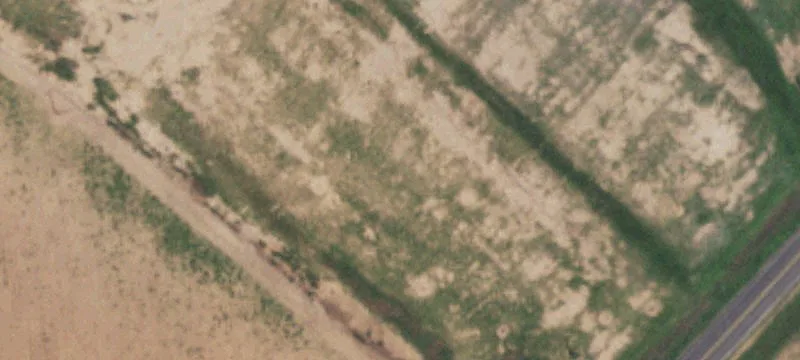 Wilson, TX 79381