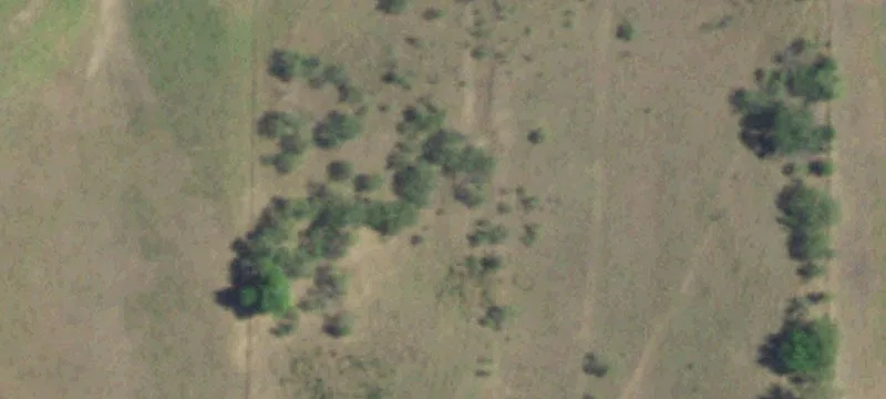 Nocona, TX 76255