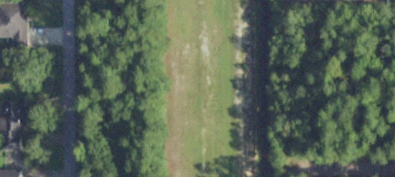 Loblolly Wildwood