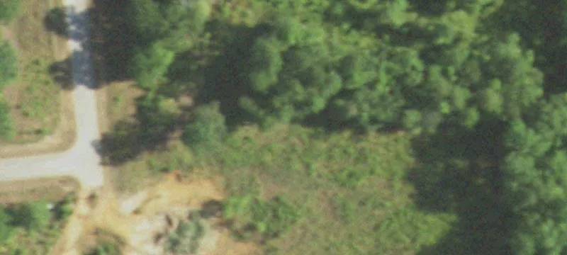 Wilkins Rd