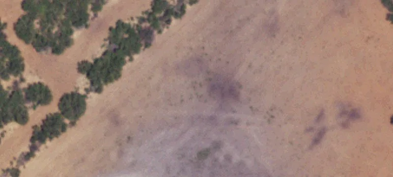 Pearsall, TX 78061