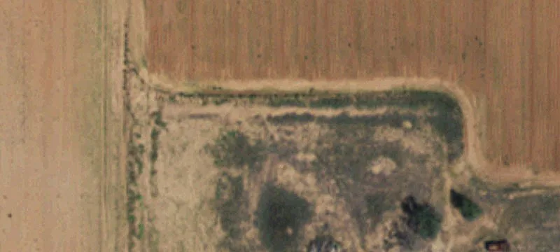 Loop, TX 79342