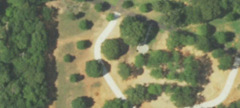 Alto, TX 75925