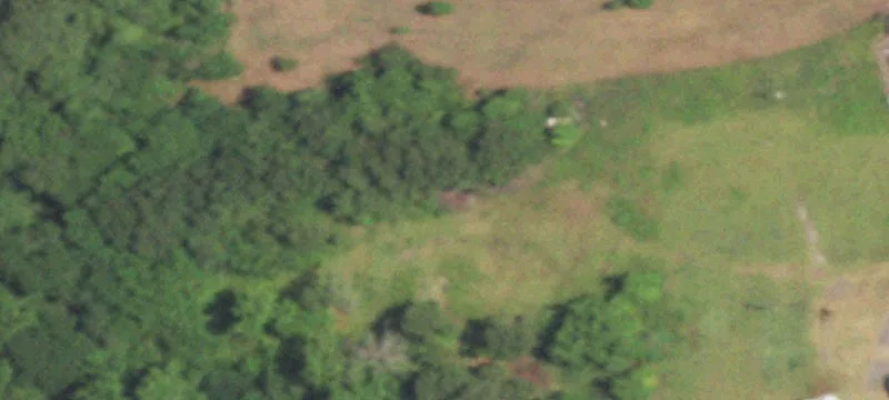 3221 Fritz Swanson Rd