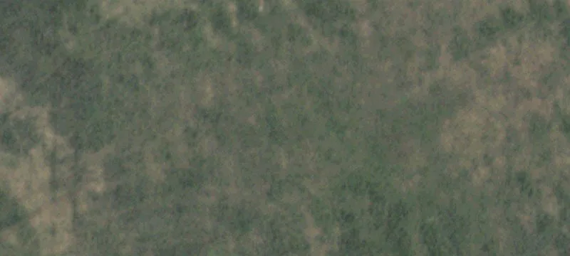 Sudan, TX 79371
