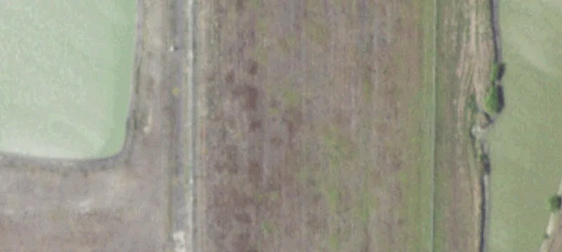 4043 Fm 893