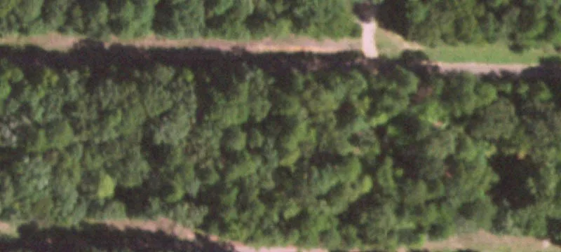 Ravenwood Loop