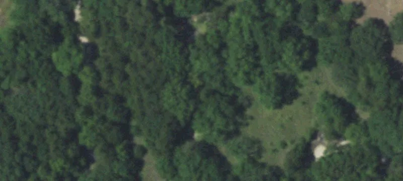 266 County Rd 462