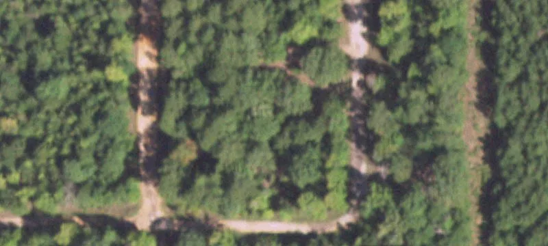 Tejas Dr