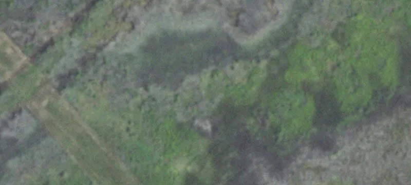 Gulf St