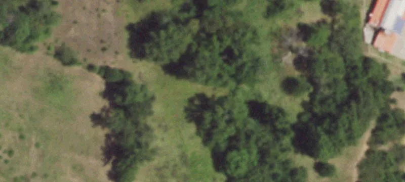 Ferguson Rd