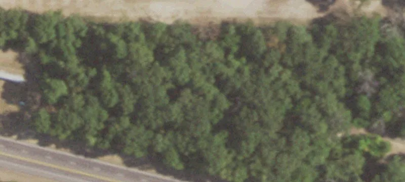 11745 Us Hwy 82nd E