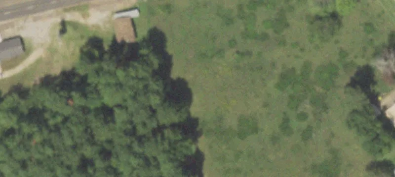Sh 31