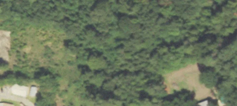 Center, TX 75935